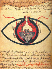An Arabic manuscript describing the eye, dating back to the 12th century