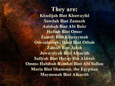 wives of Muhammed s.a.w